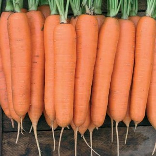 Морковь Аурантина F1 1.6-1.8 мм