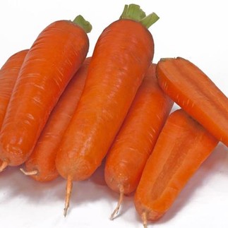 Морковь Тангерина F1 1.6-1.8